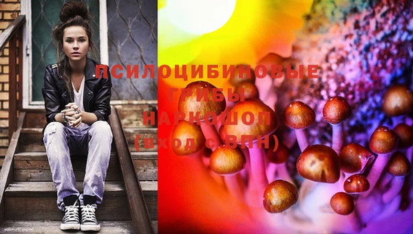 марки lsd Балахна
